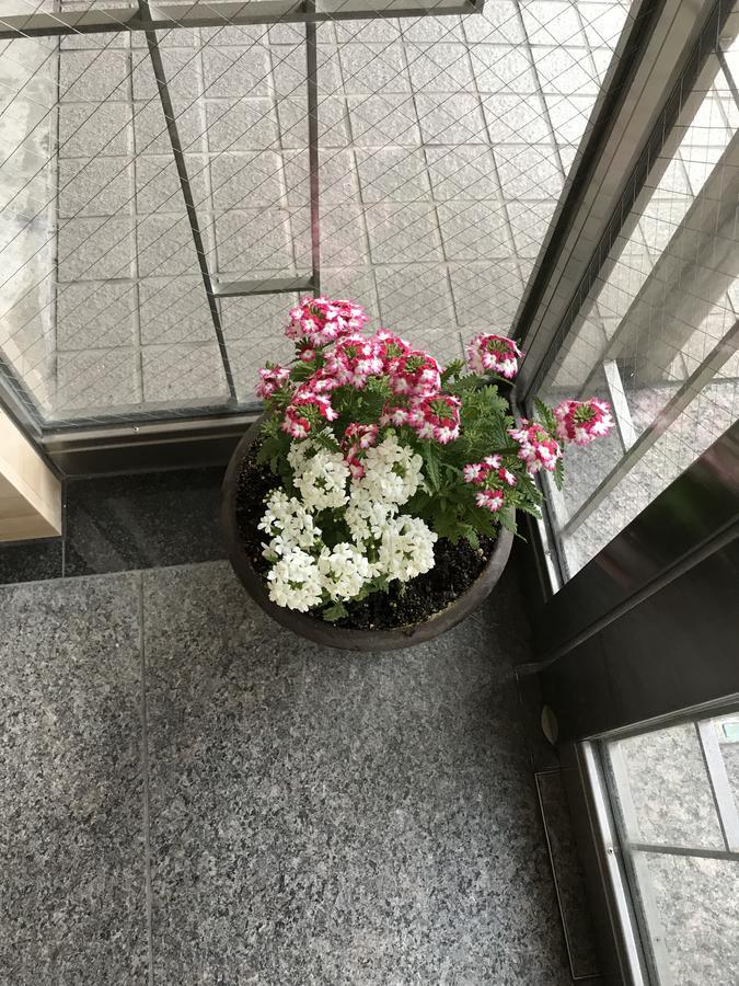 Career Cooporation Hotel Osaka Exterior photo
